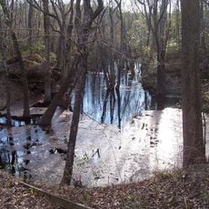 Leon Sinks Geological Area
