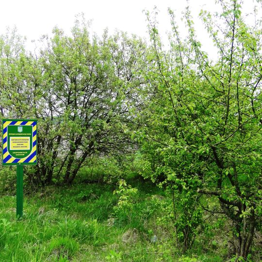 Mala Berezovytsia-Ivanchany Rezerve