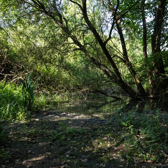 Site gallo-romain de l'Asile des Pêcheurs