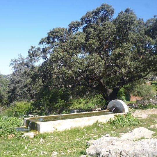 Fuente de AGUA NUEVA